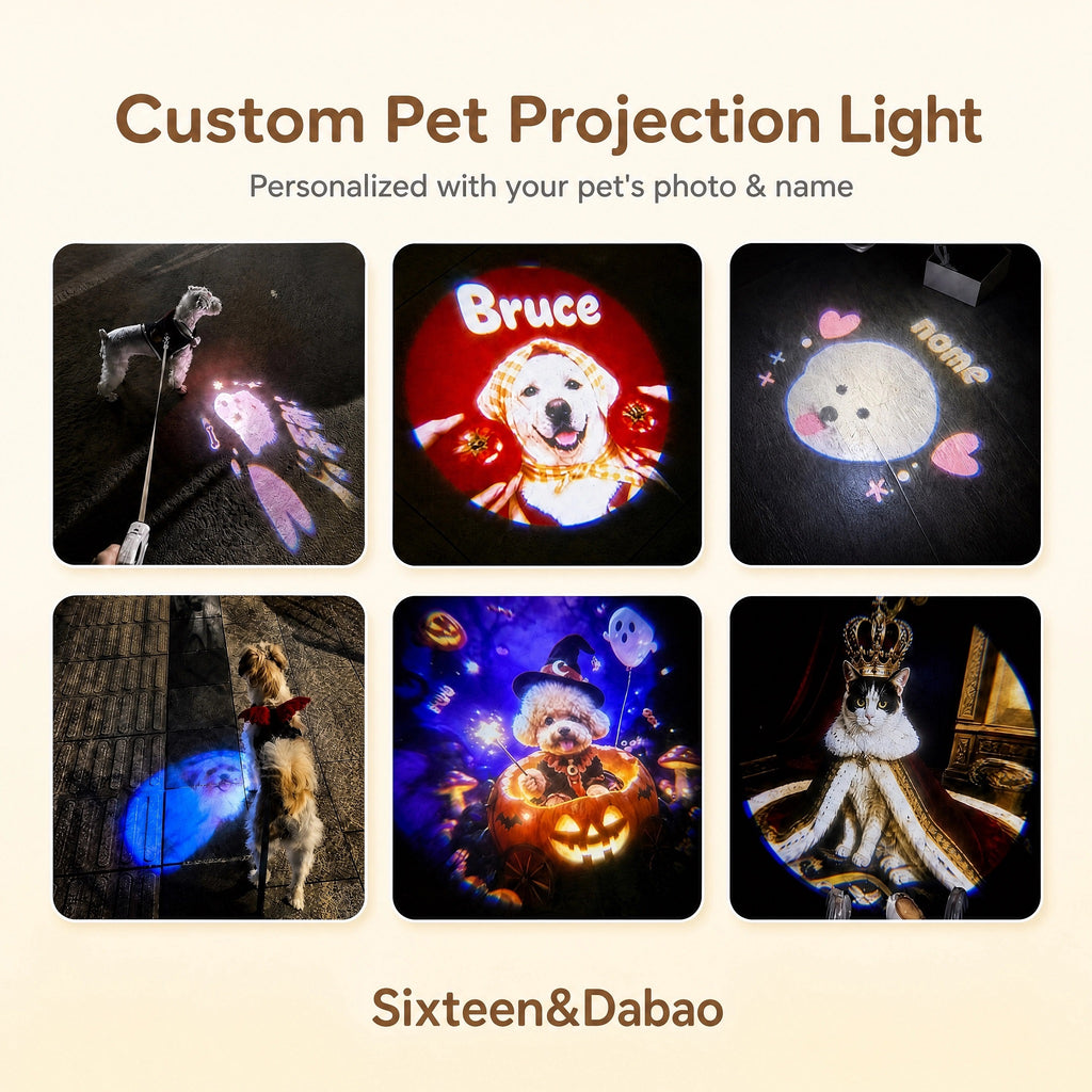 Extra Custom Slide for Our Pet Projector