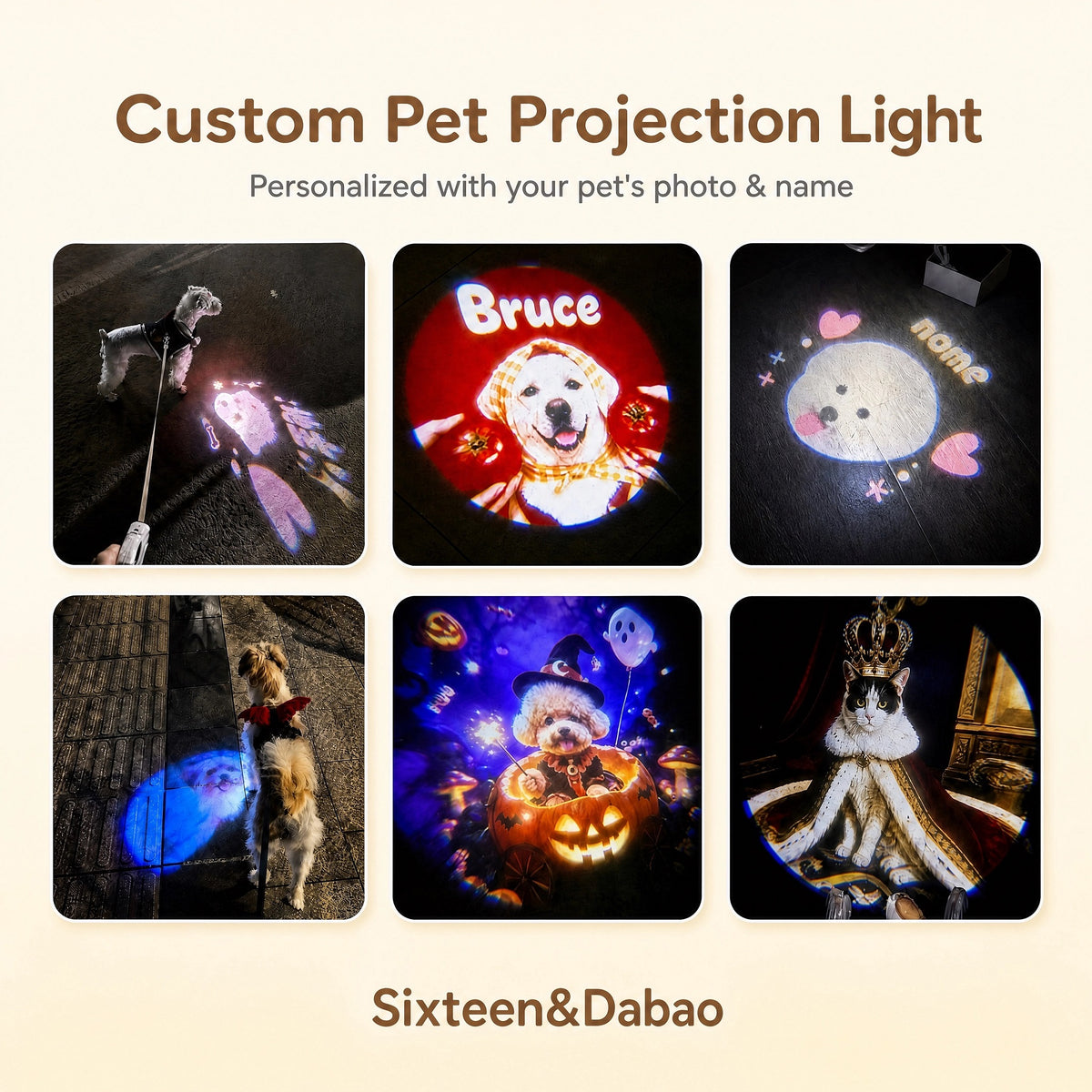 Extra Custom Slide for Our Pet Projector